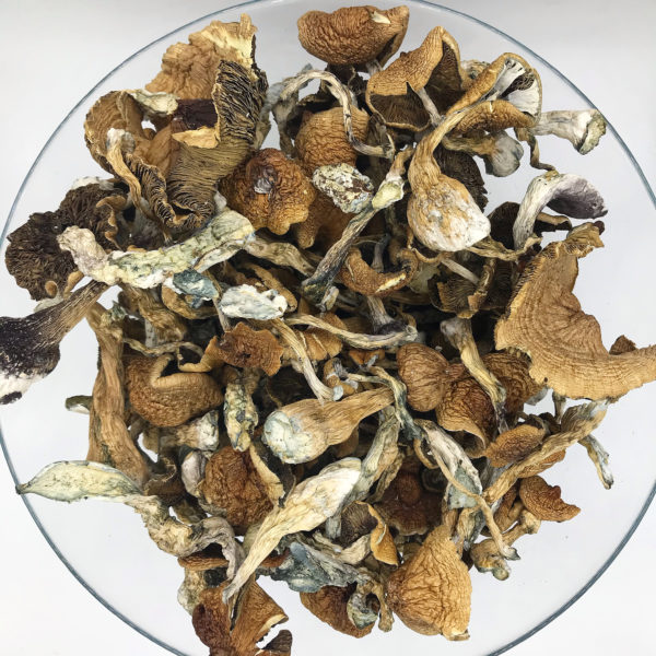 Black-Afghani--600x600