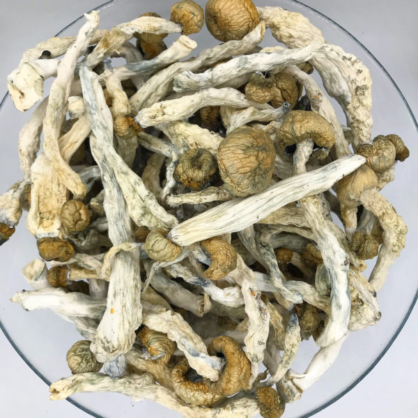 Craft-Grown-Penis-Envy-600x600 (1)