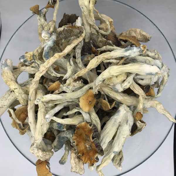 Monster-Mack-600x600 (1)