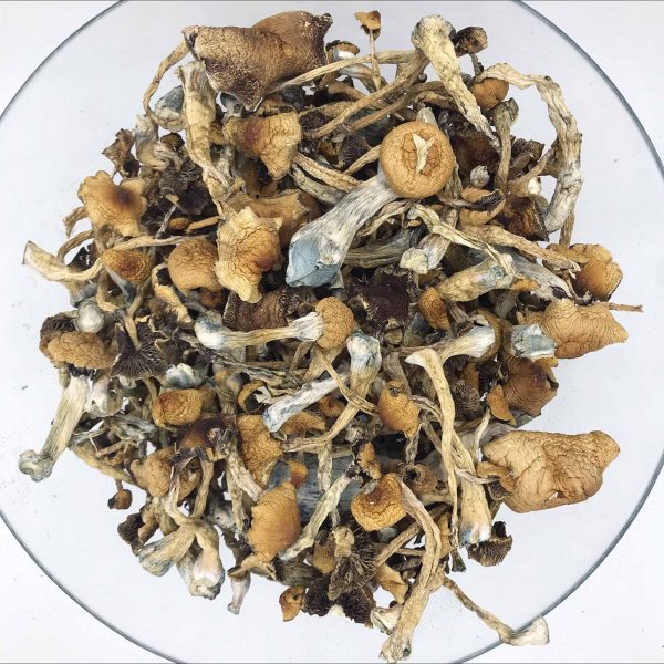 Resize-Malabar-600x600